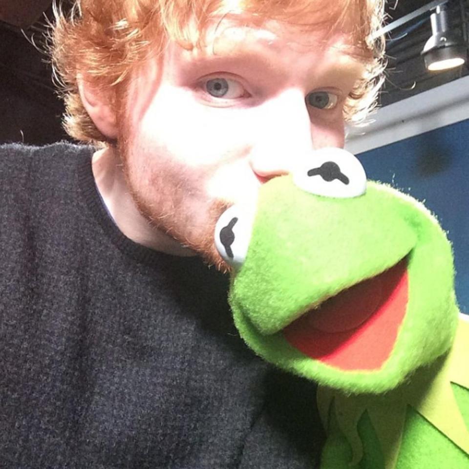 Ed Sheeran kisses Kermit the Frog (@teddysphotos)