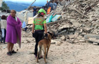 <p>A man wrapped in a blanket looks on as a rescuer with a dog stand in front a collapsed house following a quake in Amatrice, central Italy on Aug. 24, 2016. (REUTERS/Emiliano Grillotti) </p>