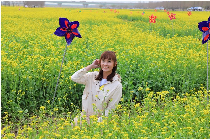 韓國釜山｜大渚生態公園30浬櫻花路、洛東江金黃油菜花