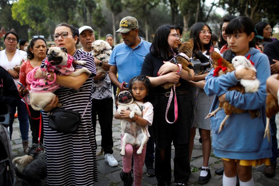 墨西哥市民眾17日抱著寵物排隊接受神父祝福。路透社