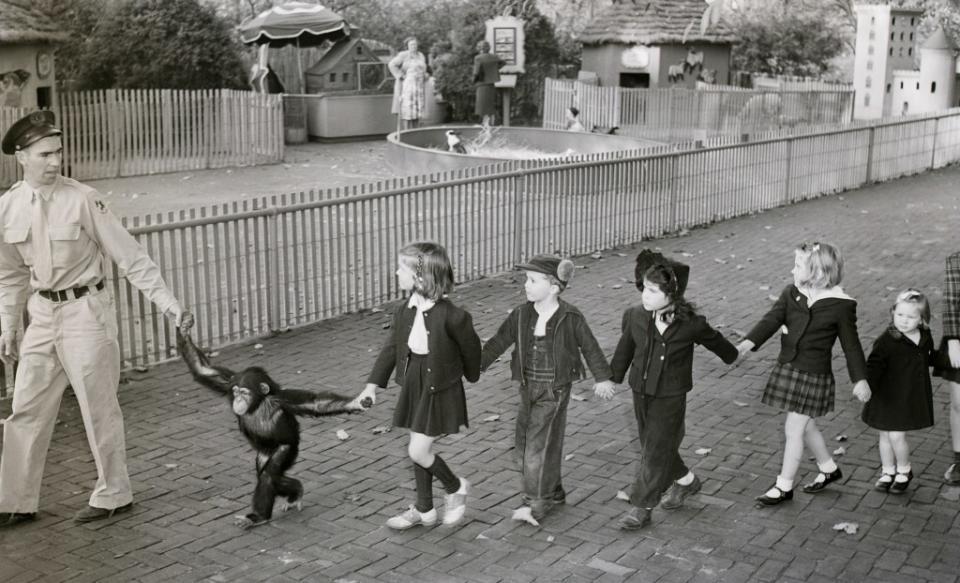 The Children’s Zoo at the Bronx Zoo opens on April 1, 1943. Bettmann Archive