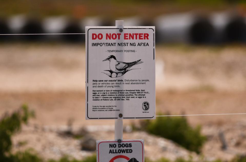 The construction area for The Vue in Satellite Beach has areas marked off for Do Not Enter and No Dogs. Numerous least tern birds are nesting on the site. 