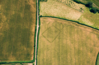 <p>Stogumber in Somerset show an ancient farm – typical of bronze and iron age farms found in the area (Historic England) </p>