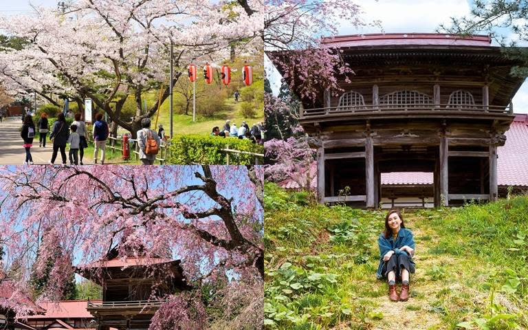 日本東北的賞櫻秘所以及順遊景點推薦給你，準備安排一趟愜意輕鬆的秋田櫻花之旅。 （圖／業者提供）