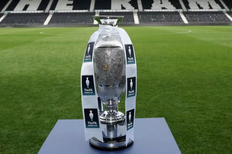 A close-up of the FA Sunday Cup trophy.