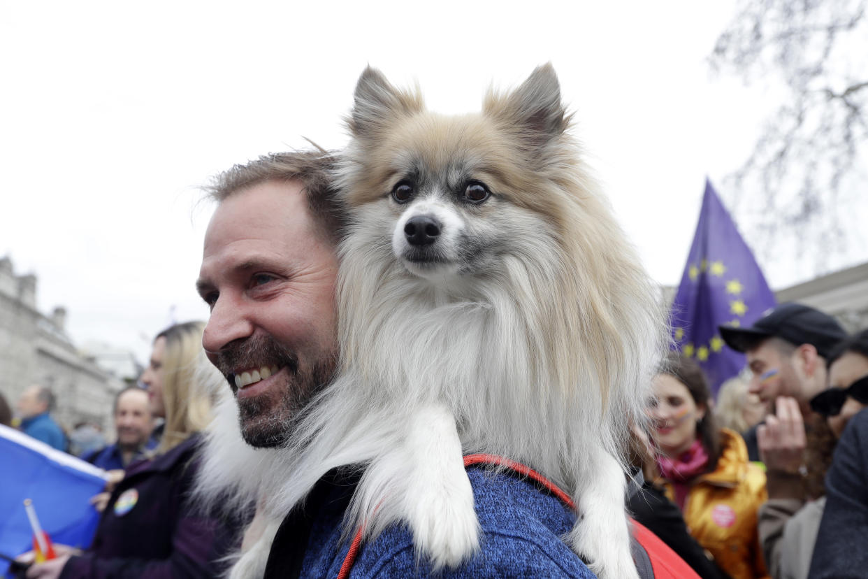 A demonstrator carries a dog on his shoulders during a Peoples Vote anti-Brexit march in London, Saturday, March 23, 2019. The march, organized by the People's Vote campaign is calling for a final vote on any proposed Brexit deal. This week the EU has granted Britain's Prime Minister Theresa May a delay to the Brexit process. (AP Photo/Kirsty Wigglesworth)