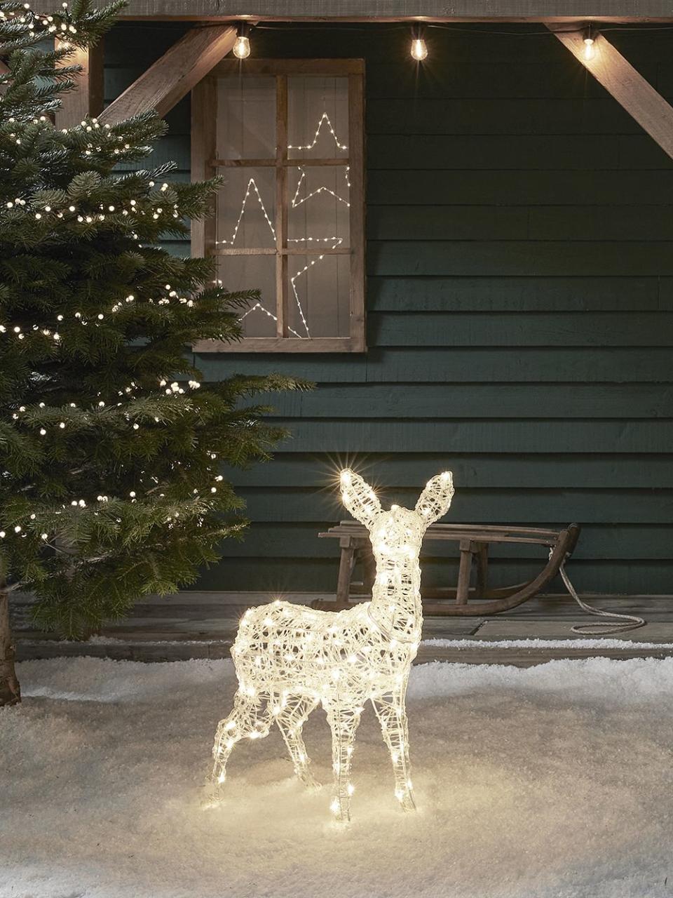 a deer with a tree in the background