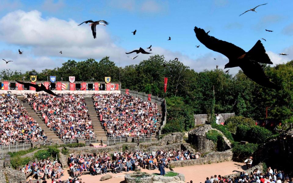 Birds perform during a show at French historical theme park Le Puy du Fou, in Les Epesses, western France. - SEBASTIEN SALOM-GOMIS/AFP