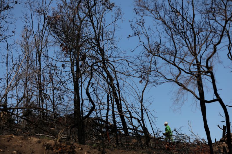 A worker from the Department of Environment, Land, Water and Planning works in a bushfire affected area outside of Buchan in Victoria, Australia