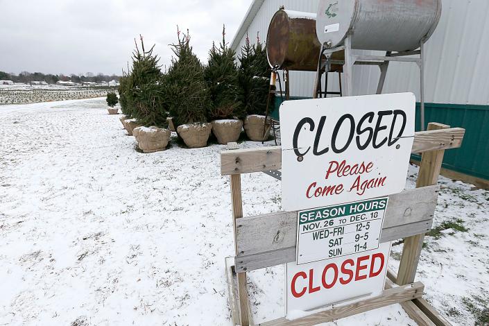 Earlier in November, the Christmas trees at Sugargrove Tree Farm along Ashland County Township Road 1455 have a light dusting of snow. The farm is now open and ready for the holiday season.