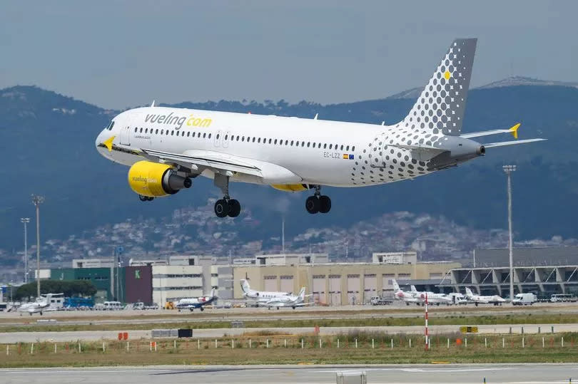 vueling flight