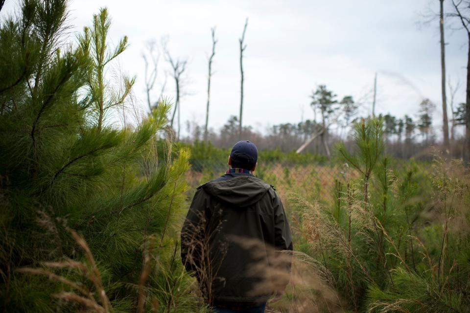 Delaware Wild Lands field ecologist Andrew Martin tours the Great Cypress Swamp in Frankford.