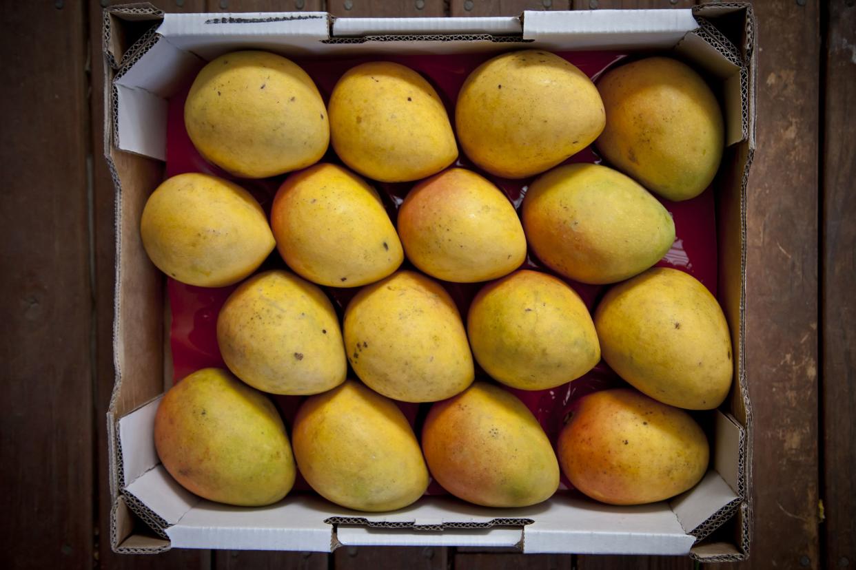 overhead view of a tray of mangoes