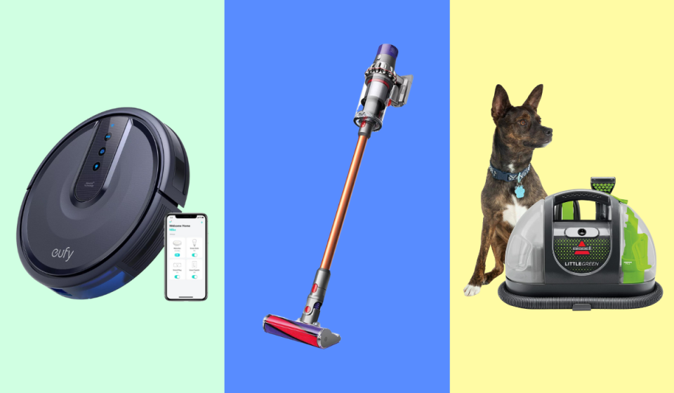 robot vacuum, stick vacuum, dog next to carpet steamer