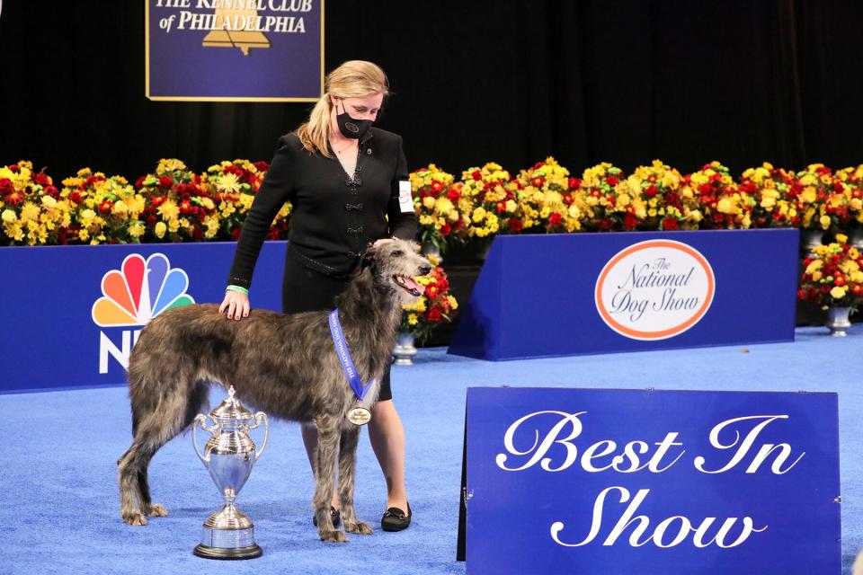 The national dog show presented by Purina winner of 2020