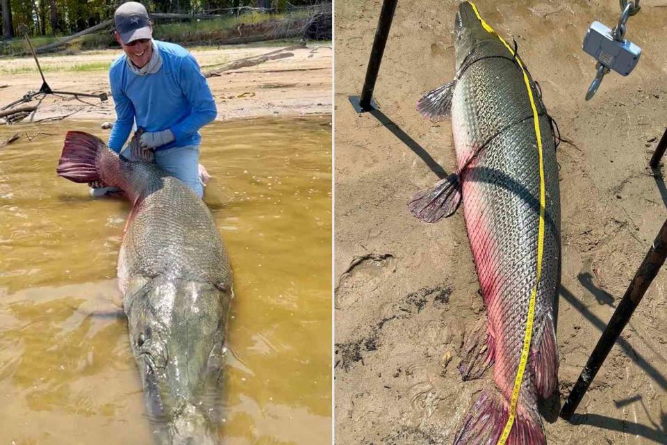 <p>Kirk Kirkland/Facebook</p> A Kentucky fisherman caught a massive, 283-pound alligator gar fish that is likely to set records.