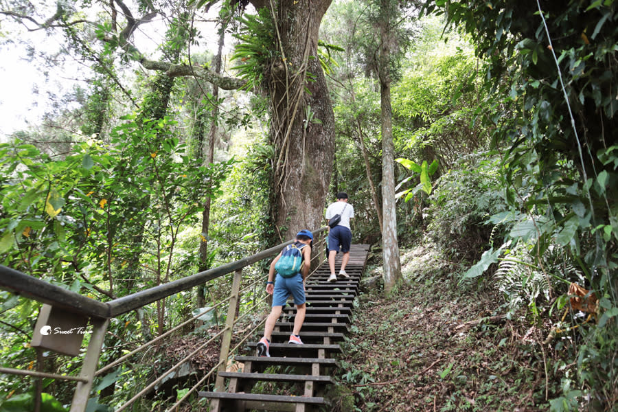 五指山橫向步道