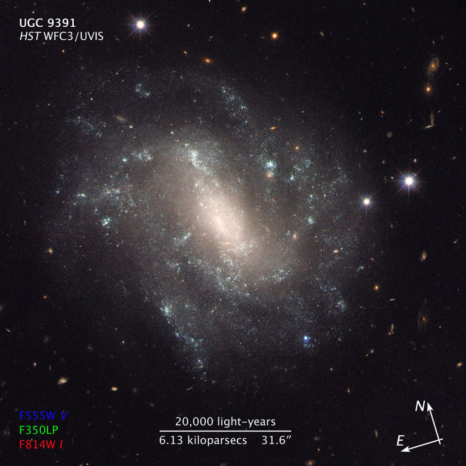 Hubble Space Telescope view of the galaxy UGC 9391, which contains Cepheid variable stars and supernovas that scientists studied to calculate a newly precise value for Hubble's constant.