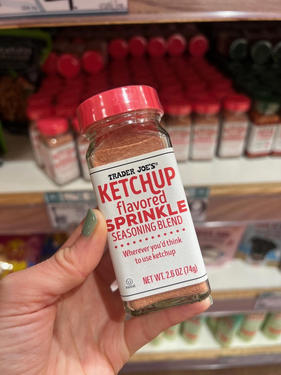 Ketchup Flavored Sprinkle Seasoning Blend