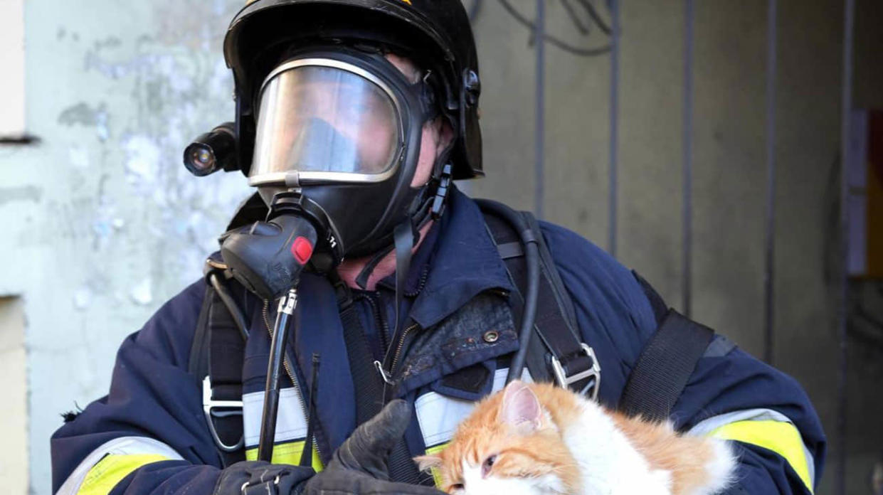 An emergency worker rescues a cat out of a bombarded building. Photo: State Emergency Service of Ukraine on Telegram