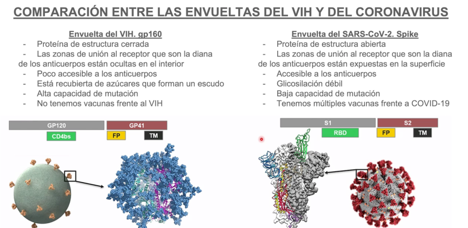 Diferencias entre las envueltas o envolturas de los virus VIH y SARS-CoV-2. Author provided