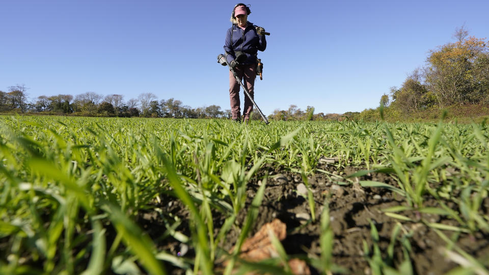 Metal detectorist Denise Schoener, of Hanson, Mass., searches for historic coins and artifacts in a farm field in Little Compton, R.I., Thursday, Oct. 27, 2022. One coin at a time, the ground is yielding new evidence that in the late 1600s, Henry Every, one of the world's most ruthless pirates, wandered the American colonies with impunity. Schoener found a 17th century silver coin with Arabic inscriptions in 2019 in a field in Little Compton. (AP Photo/Steven Senne)