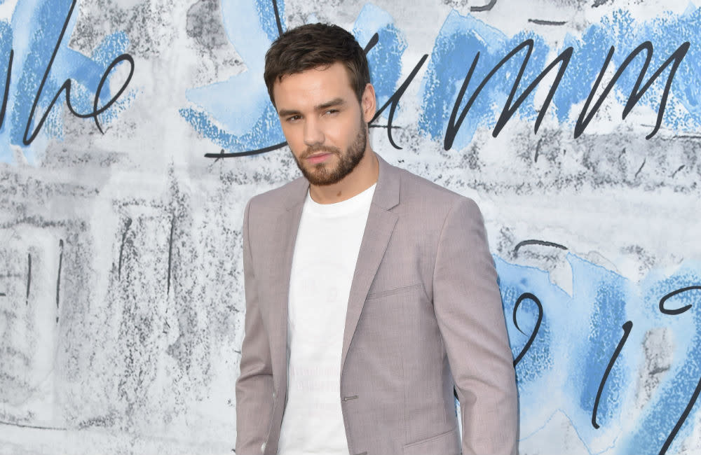 Liam Payne has poured his heart and soul into his new solo album credit:Bang Showbiz