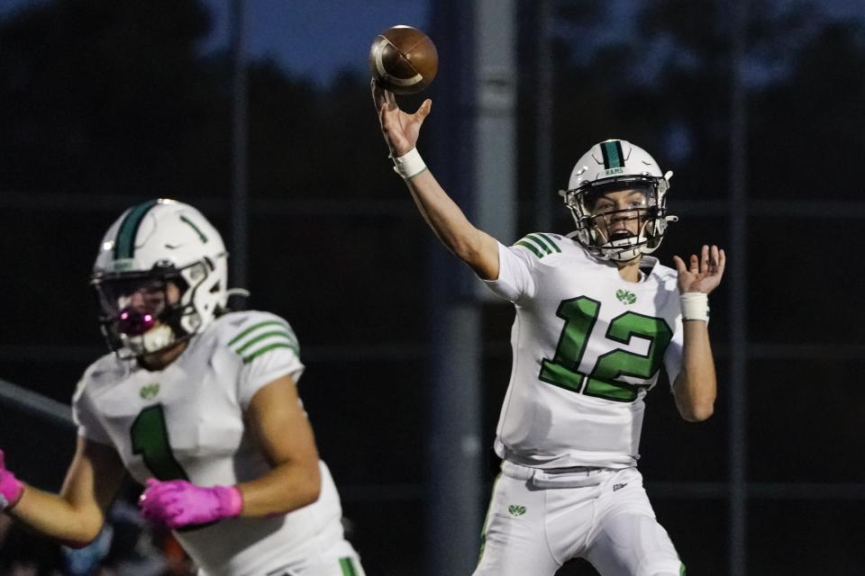 Badin quarterback Alex Ritzie (12) was the second-leading passer in the Greater Catholic League-Coed this season.