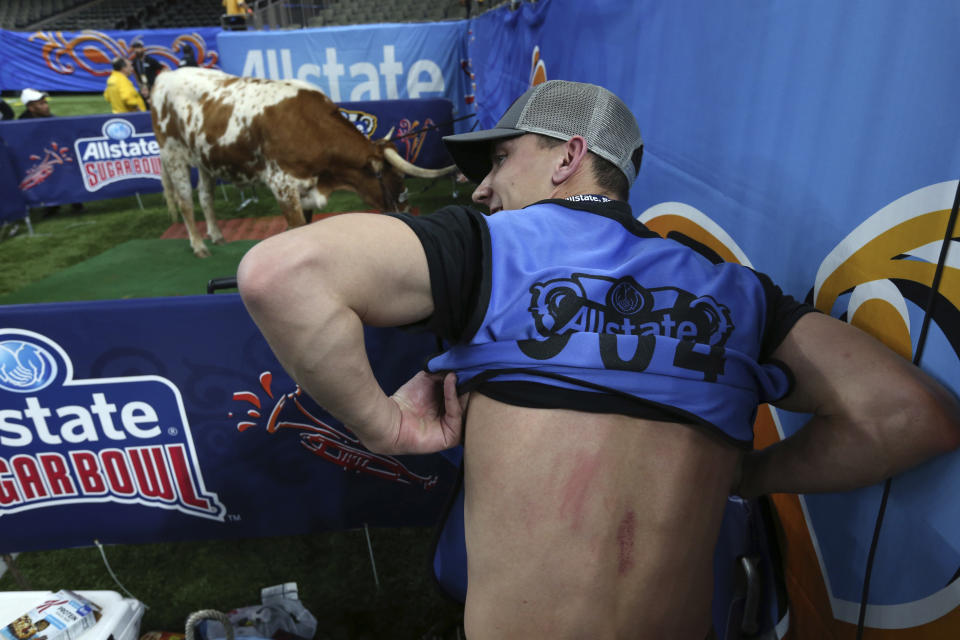 Nick Wagner, a photojournalist for the Austin American-Statesman, shows off the scrapes on his back from the Texas mascot bull "Bevo," seen in background, before the Sugar Bowl NCAA college football game against Georgia in New Orleans, Tuesday, Jan. 1, 2019. The Georgia mascot, a bulldog named "Uga X," was brought near the bull for a photo-op, when a brief kerfuffle ensued, and the photographer got scraped by Bevo's horn. (AP Photo/Rusty Costanza)