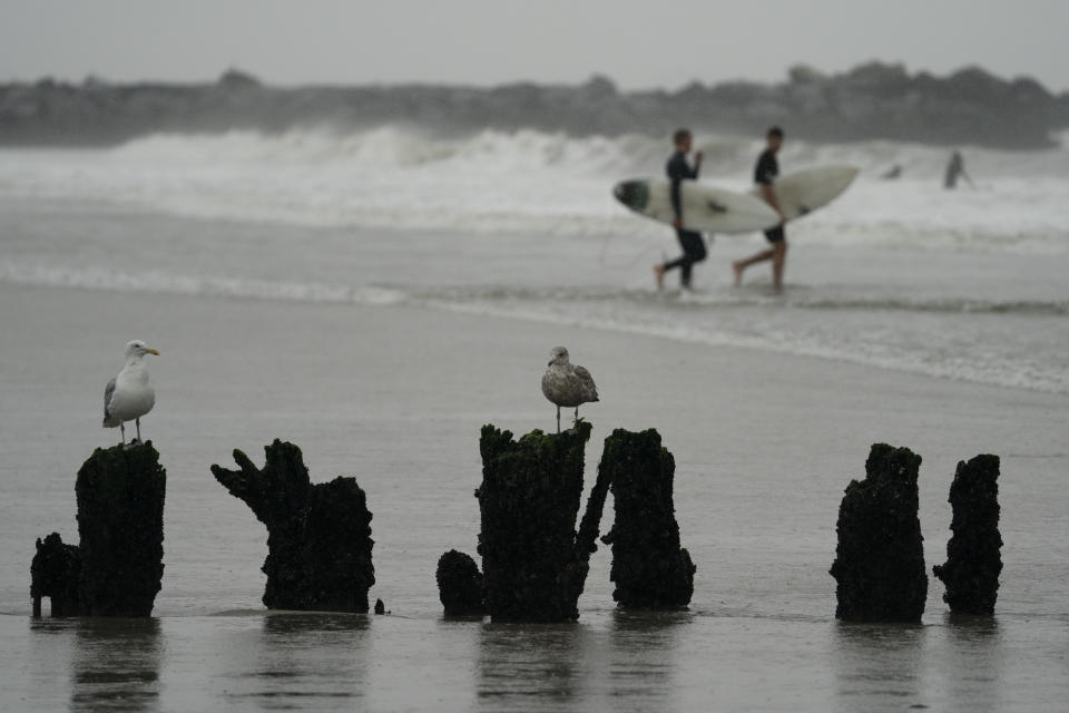 Surfers head into the Atlantic Ocean to ride the waves while Tropical Storm Henri brings strong surf and high winds to the area, Sunday, Aug. 22, 2021, in the Rockaways neighborhood of the Queens borough of New York. (AP Photo/John Minchillo)