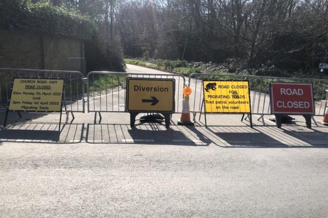 Road Near London Closes for Nearly a Month to Protect Migrating