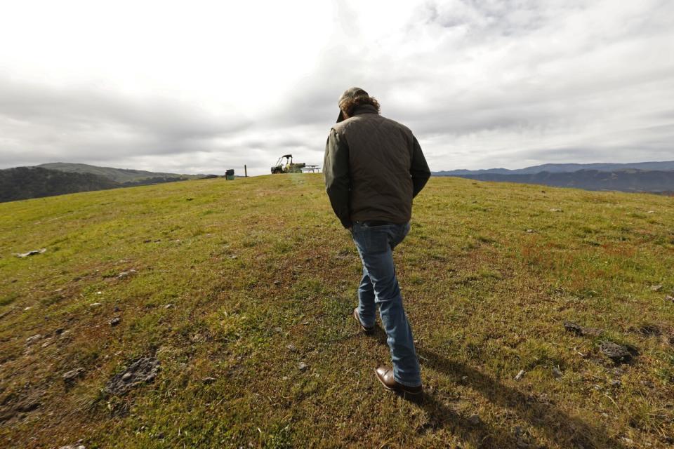 A person walks on a field