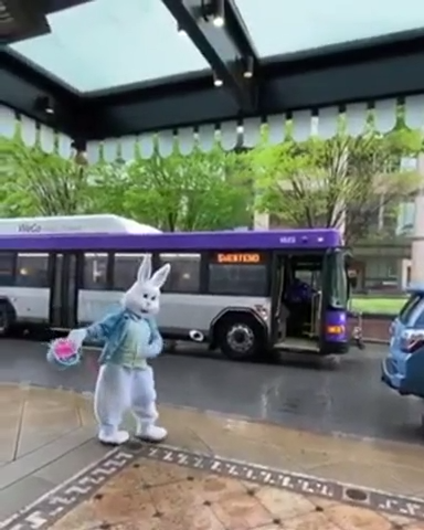 WeGo bus driver sings 'My Girl' to the Easter Bunny outside the Hermitage Hotel