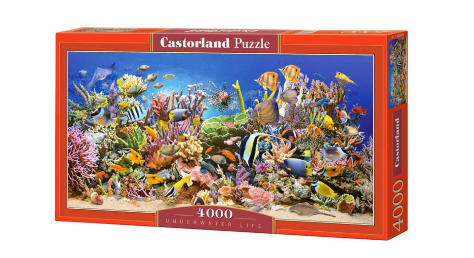 Hobby Panoramic Underwater Life Jigsaw Puzzle, 4000 Pieces Set 