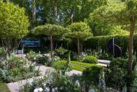 <p><strong>SHOW GARDEN | Award: SILVER</strong></p><p>This is a classical contemporary garden rooted in the belief that gardens are a gift of love, giving pleasure to those who create and nurture them as much as to those who visit and enjoy them.</p><p>It features eight flat-topped hawthorn trees to form a structured canopy and a predominantly green palette softened with gentle tones of soft white and plum.</p>