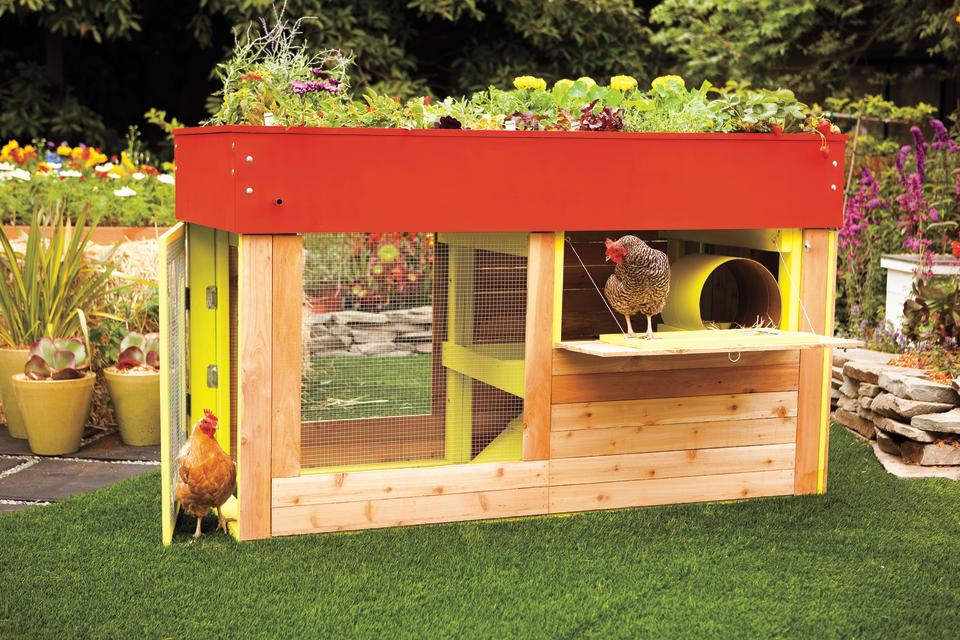 Check out these must-see designs for raising backyard chickens in style
