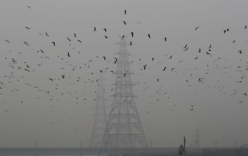 FILE PHOTO: Birds fly next to electricity pylons on a smoggy afternoon in the old quarters of Delhi