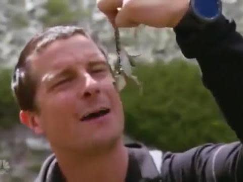 Bear Grylls could be fined for killing and boiling protected frog in Bulgaria