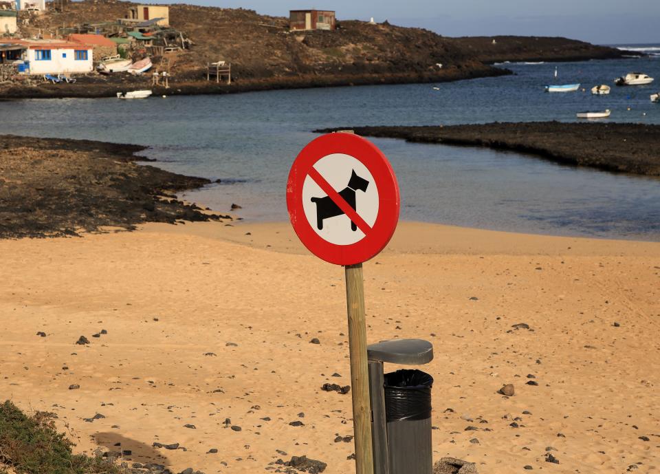 No dogs on beach sign village of Majanicho on the north coast, Fuerteventura, Canary Islands, Spain. (Photo by:  Geography Photos/Universal Images Group via Getty Images)