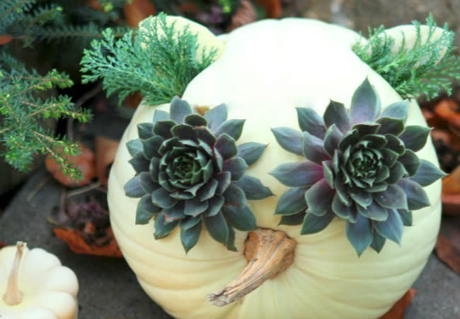 25 Bewitching Ways to Decorate a Pumpkin