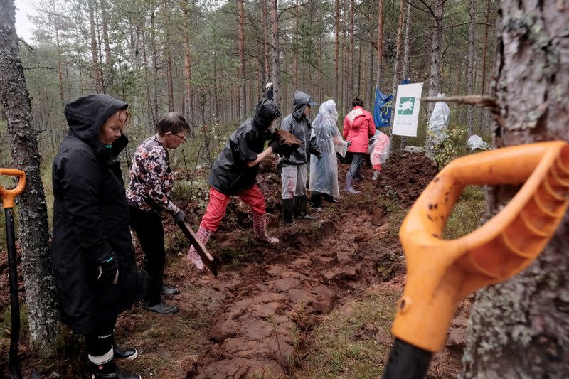 Volunteers build a dam to restore bog near Palmse