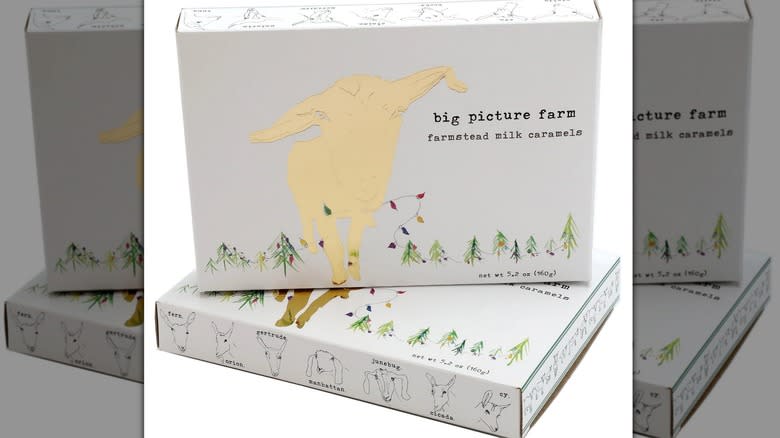 Big Picture Farm Goat Milk Caramels Golden Holiday Gift Box
