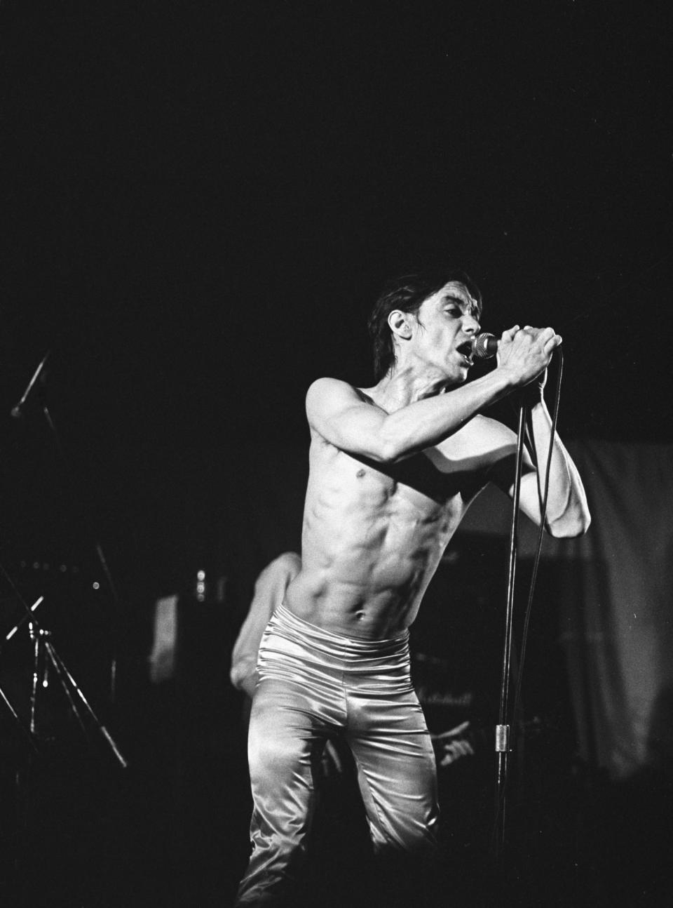 Iggy Pop: Eine Karriere in Bildern