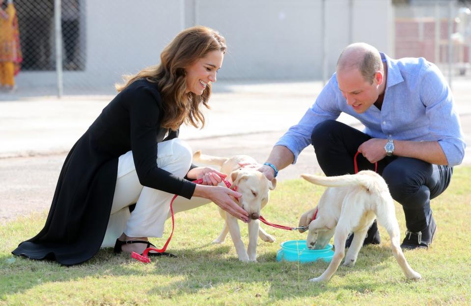 <p>During their royal tour of Pakistan, <a href="https://www.townandcountrymag.com/society/tradition/g29511672/kate-middleton-prince-william-army-canine-centre-pakistan-dog-photos/" rel="nofollow noopener" target="_blank" data-ylk="slk:Kate Middleton and Prince William visited the Army Canine Centre in Islamabad;elm:context_link;itc:0;sec:content-canvas" class="link ">Kate Middleton and Prince William visited the Army Canine Centre in Islamabad</a>, where they had the privilege of meeting Salto and Sky.</p>