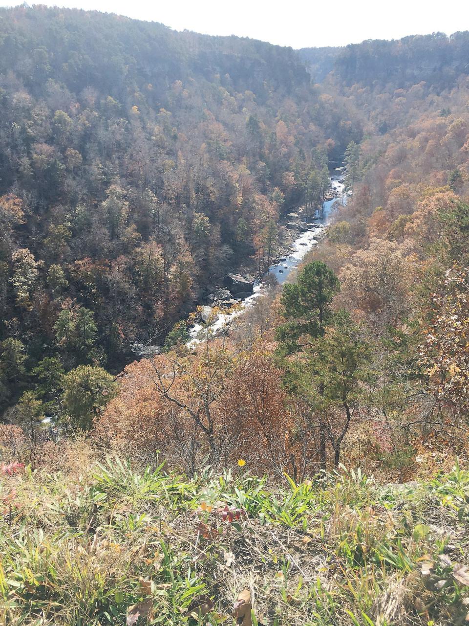 A view of Bear Creek at the Little River Canyon National Preserve.