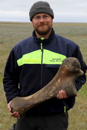 Love Dalen is pictured with a mammoth bone found on the Taimyr Peninsula in Siberia in this image released to Reuters on April 22, 2015. REUTERS/Ivar Benediktsson/Handout via Reuters