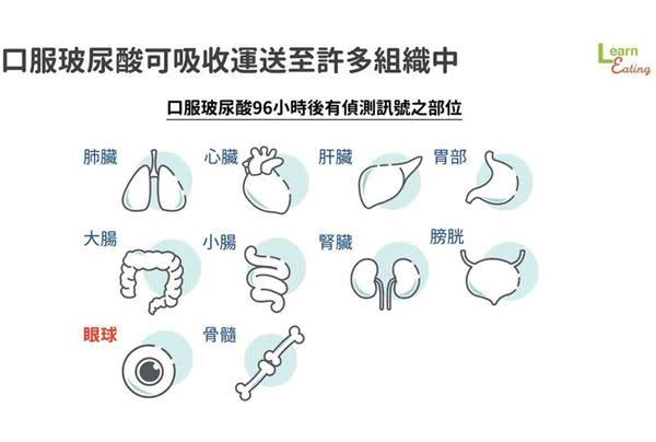 3C產品用太多，眼睛乾澀、疲勞？口服玻尿酸有幫助嗎？營養師解析