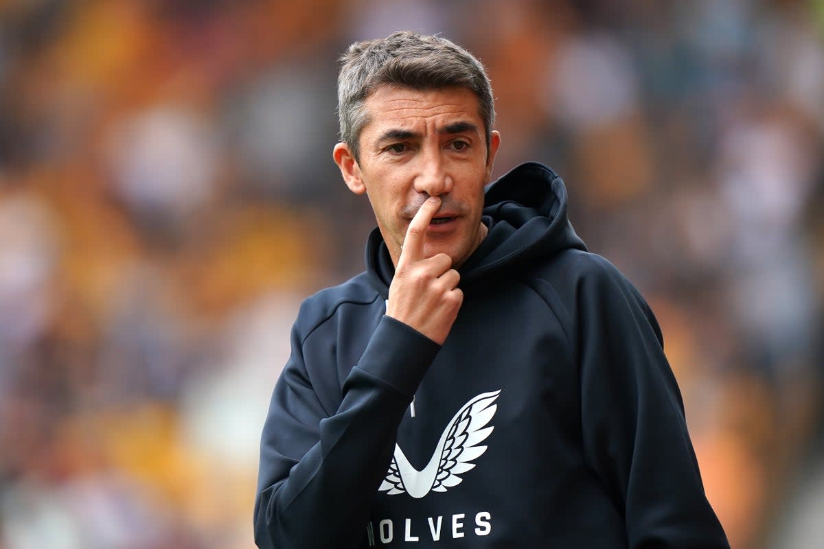 Wolves boss Bruno Lage was forced to hand Sasa Kalajdzic a surprise debut in the win against Southampton (Tim Goode/PA) (PA Wire)