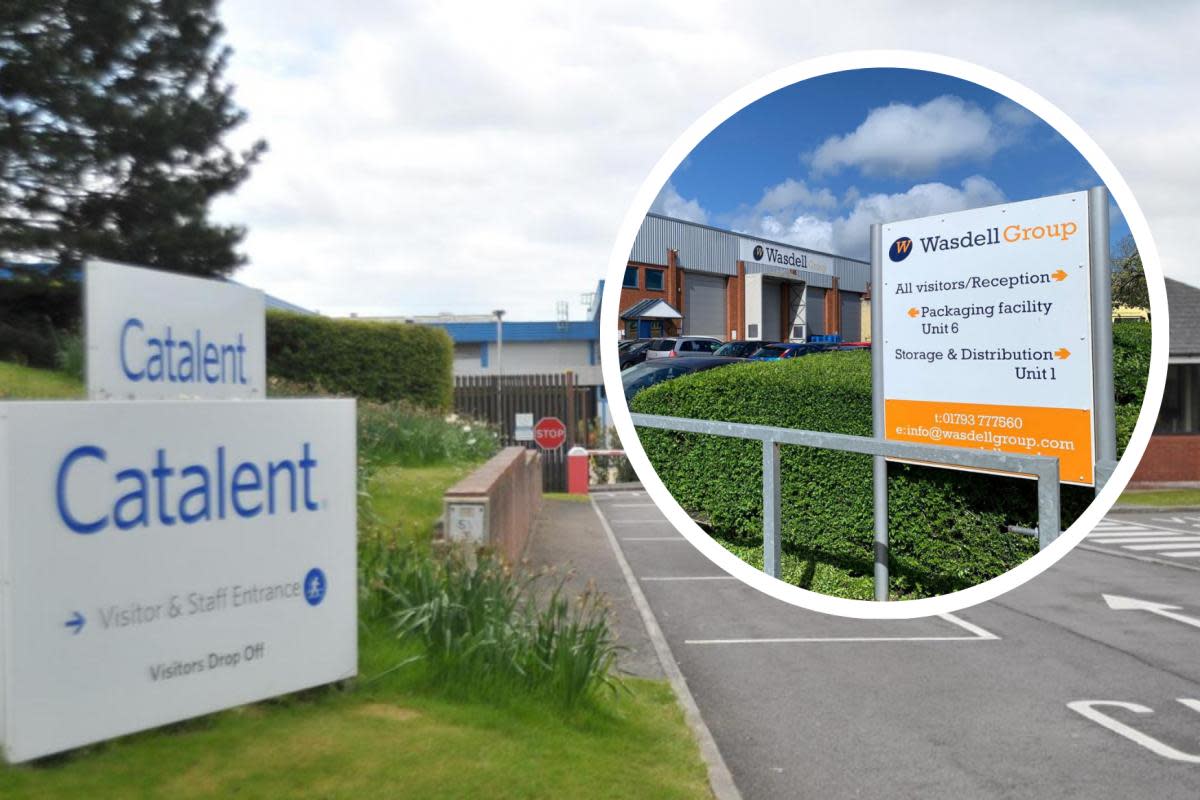 Catalent and Wasdell have been contacted for comment over the plans <i>(Image: Dave Cox)</i>