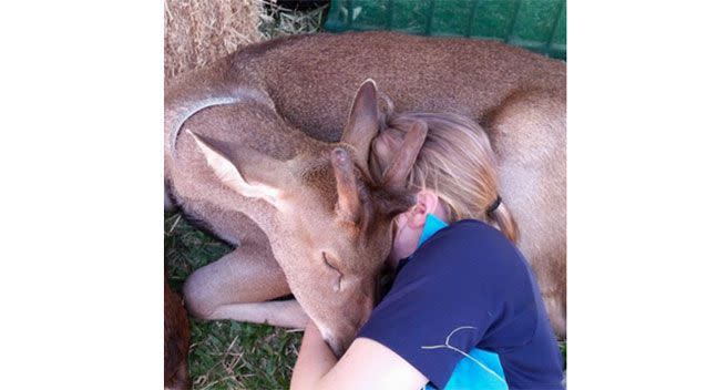 The farm is enjoyed by many in the community. Photo: Fun-E-Farm Facebook